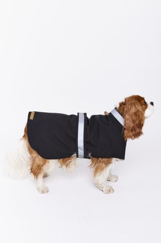 Midnight rain coat for dogs 